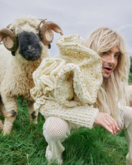 Case Study: The 'Rainbow Wool' Photography Campaign / Case study of the award-winning 'Rainbow Wool' campaign for Schäferei Stücke, making a statement on LGBTQ+ rights, with lead photography by Steve Marais. To bring the story to a wider audience, the campaign partnered with Bill Kaulitz, a German-born musician, fashion icon, and prominent member of the LGBTQ+ community. Sheep can be gay